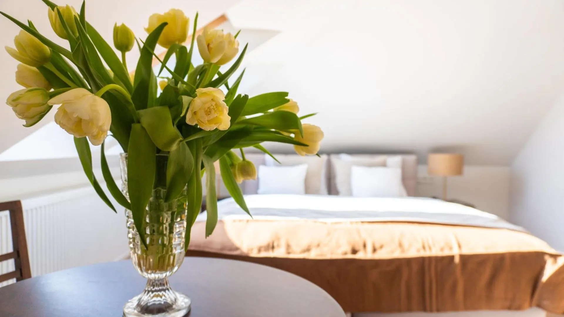Aparthotel Avanti Villa Krakow Poland